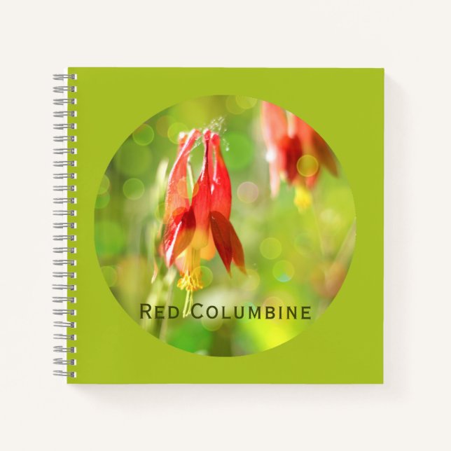 Carnet Fleur de Columbine Rouge sur Atlantis Green (Devant)
