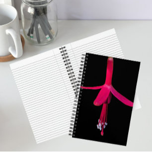 Carnet Fleur de Fuchsia rose vif sur fond noir