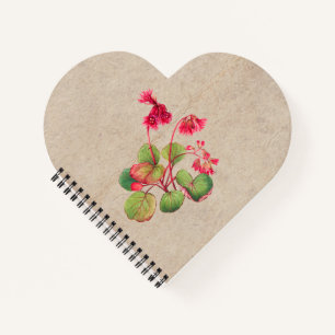 Carnet Fleur de galax à franges