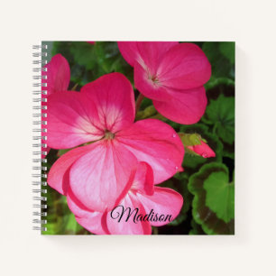 Carnet Fleur de géranium rose avec gouttes d'eau Photo