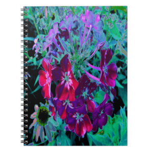 Carnet Fleur de jardin rouge, violet et rose