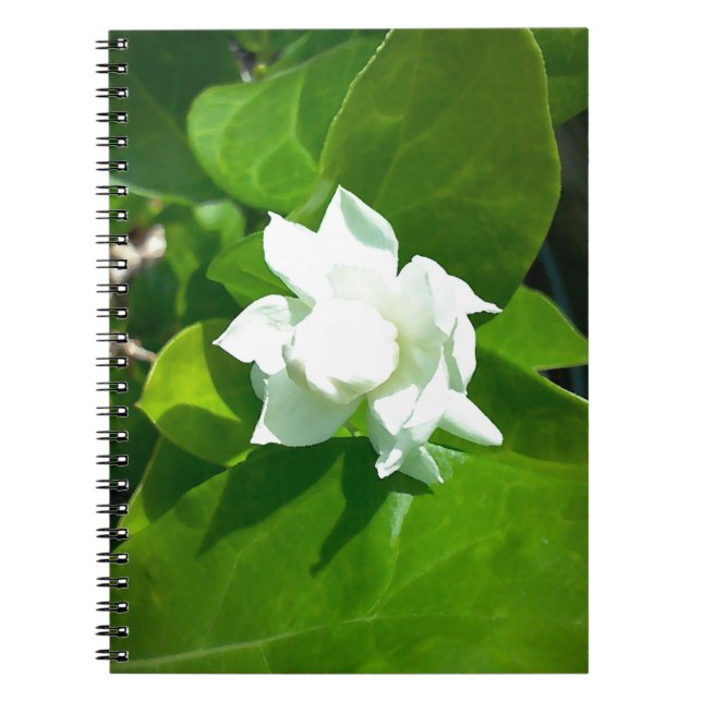 Carnet Fleur de jasmin de Sampaguita (Devant)