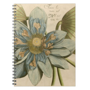 Carnet Fleur de Lotus bleu sur l'arrière - plan bronzage