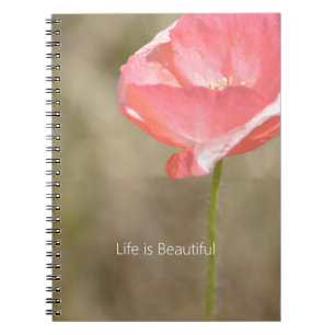 Carnet Fleur de pavot d'Islande rose blush (ma photograph