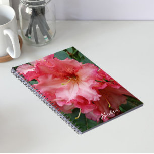 Carnet Fleur de Rhododendron rose