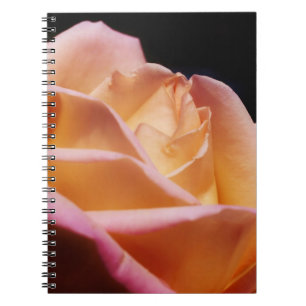 Carnet Fleur de rose jaune intense nature
