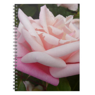 Carnet Fleur de rose rose beau jardin floral Jardin