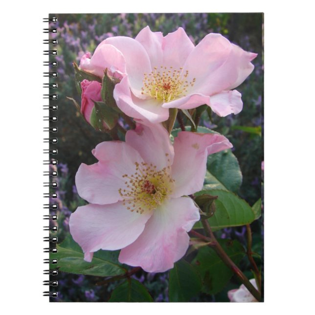 Carnet Fleur de rose sauvage rose florale Photo Fête des  (Devant)