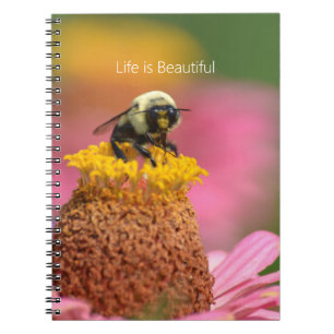 Carnet Fleur de Zinnia Rose Jardin d'Abeilles (ma photogr