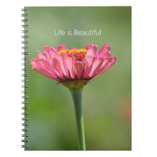 Carnet Fleur de Zinnia rose (ma photographie)