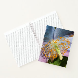 Carnet Fleur d'éclosion de Pavot Bleu de l'Himalaya