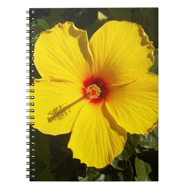 Carnet Fleur d'Hibiscus jaune (Devant)
