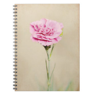 Carnet Fleur d'oeillet rose du jardin de Gertie