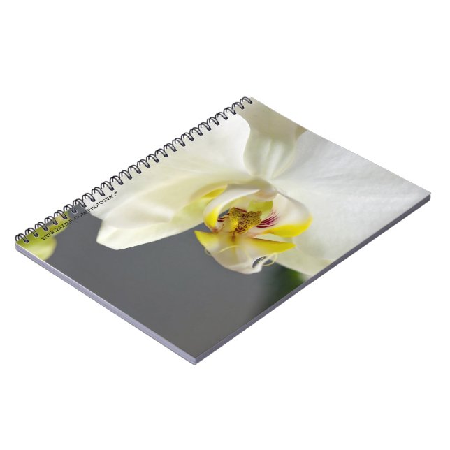 Carnet Fleur d'orchidée blanche (Côté gauche)
