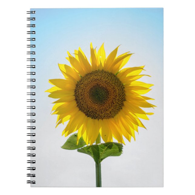 Carnet Fleur jaune (Devant)