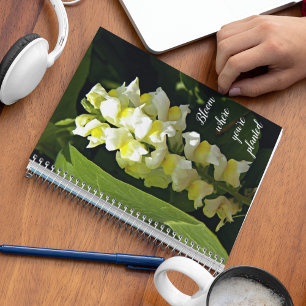 Carnet Fleur où vous êtes plantés Snapdragons de devis