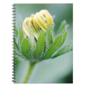 Carnet Fleur ouverte de la fleur de cone