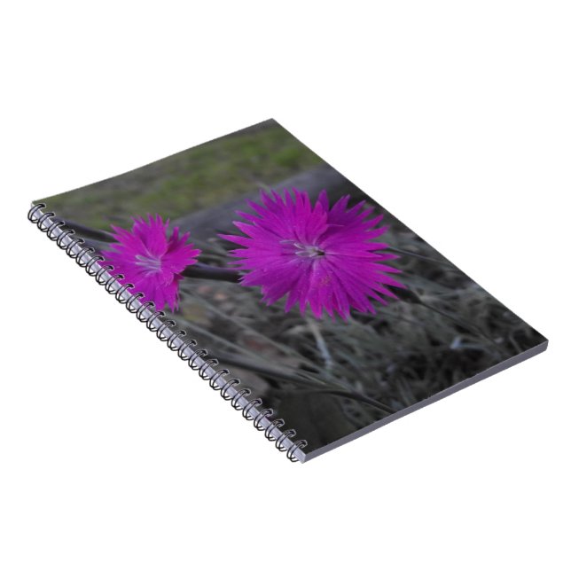 Carnet fleur pourpre (Côté Droit)