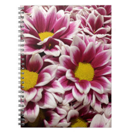 Carnet Fleur pourpre