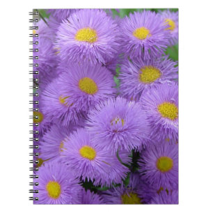 Carnet Fleur pourpre