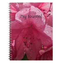 Fleur rose avec texte