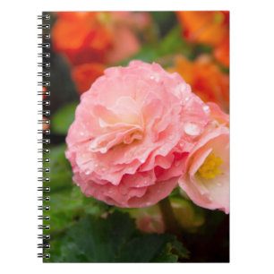 Carnet Fleur rose délicate après la pluie