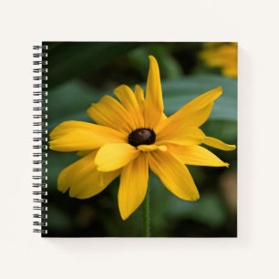 Carnet Fleur Rudbeckia jaune simple