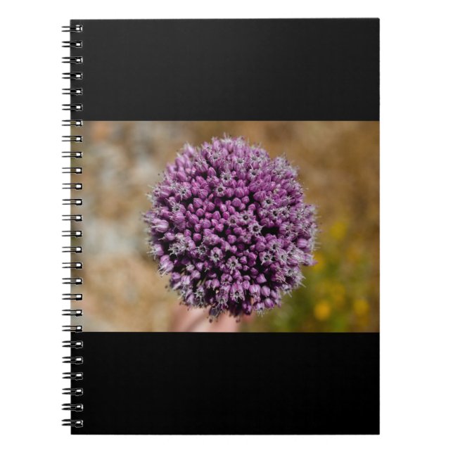 Carnet Fleur sauvage (Devant)