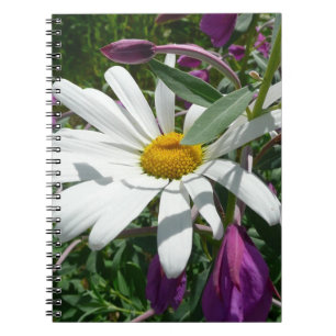 Carnet Fleur sauvage Daisy et Fireweed