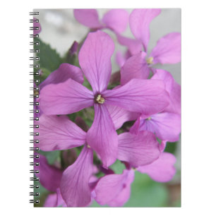 Carnet Fleur sauvage pourpre