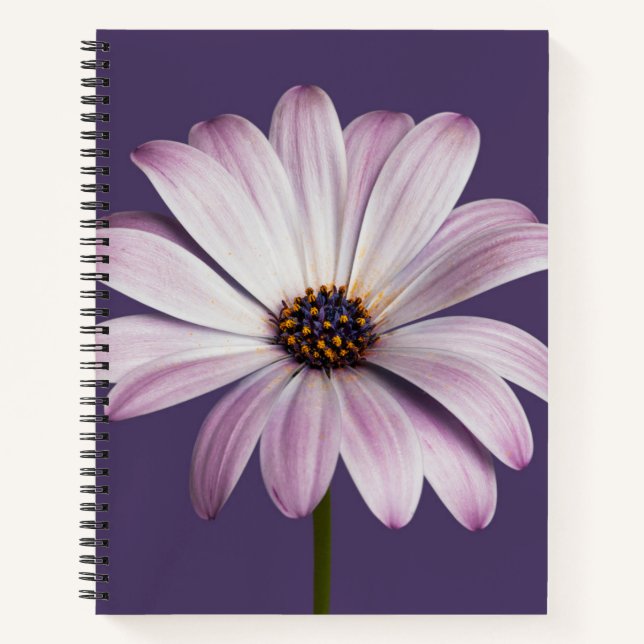 Carnet Fleurs | Blancs et marguerites (Devant)