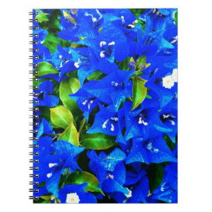 Carnet Fleurs bleues vibrantes de bouganvillée