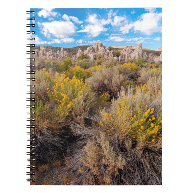 Carnet Fleurs | Blooming Sagebrush Californie (Devant)