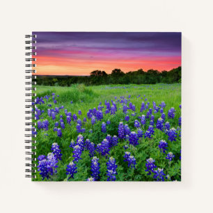 Carnet Fleurs Bluebonnets à Sunset Texas