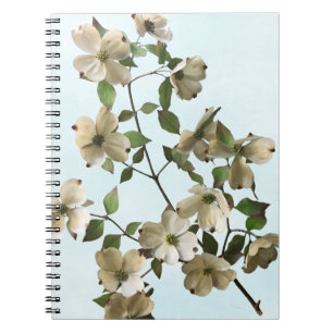 Carnet Fleurs de bois de chien blanc fleurissant