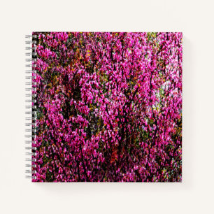 Carnet Fleurs de bourgeons rouges.......