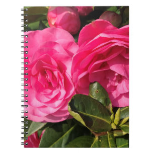 Carnet Fleurs de Camellia rose foncé