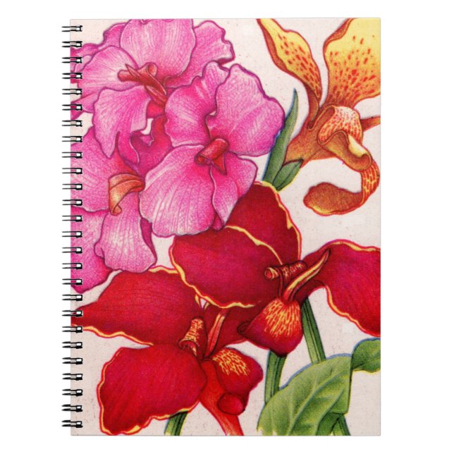 Carnet fleurs de canna (Devant)