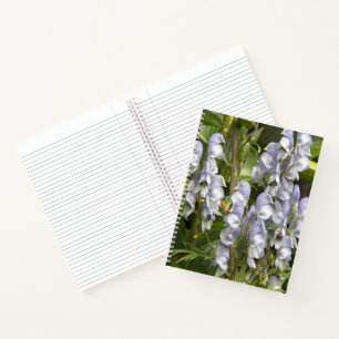 Carnet Fleurs de capucine monk violet floral