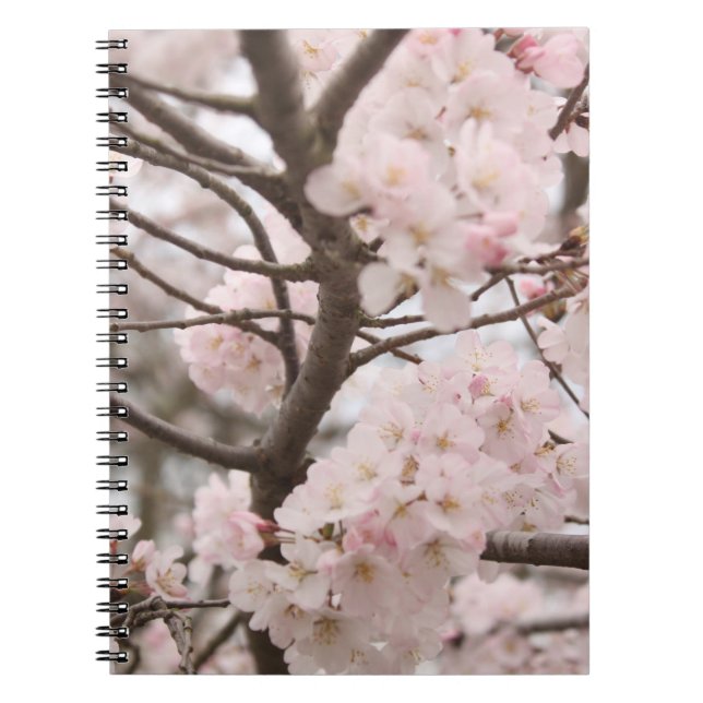 Carnet Fleurs de cerisier (Devant)