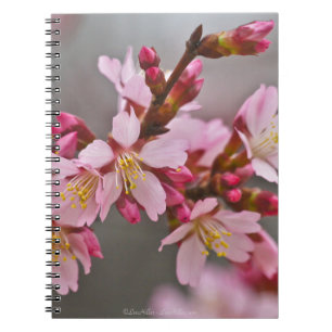 Carnet Fleurs de cerisier japonaises roses sur un ciel gr