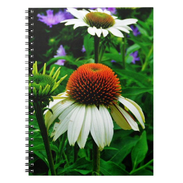 Carnet Fleurs de cônes blanches et orange (Devant)