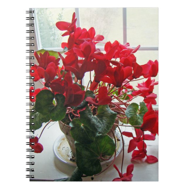 Carnet Fleurs de cyclamen rouge (Devant)
