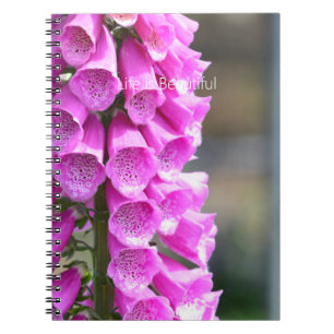 Carnet Fleurs de digitale rose (ma photographie)