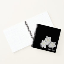 Fleurs de Gardenia blanches sur noir