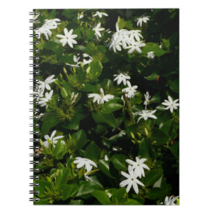 Carnet Fleurs de jasmin Botanique tropicale florale