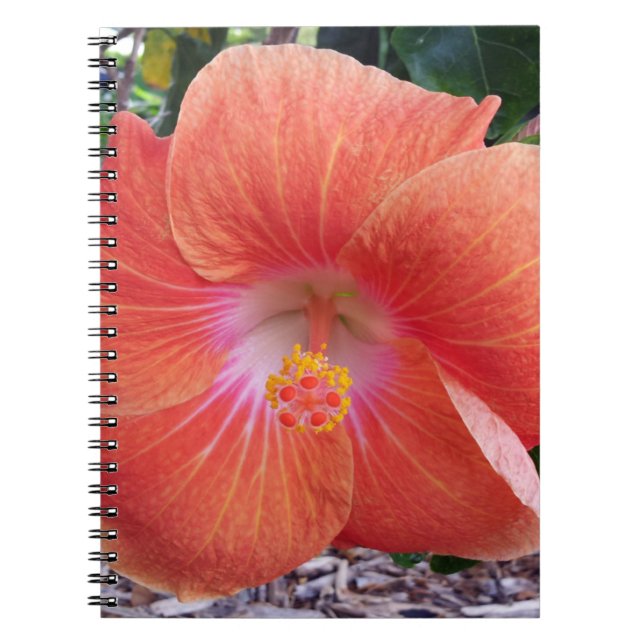 Carnet Fleurs de ketmie d'Hawaï (Devant)