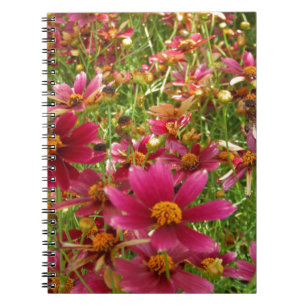 Carnet Fleurs de marguerite rose et jaune brillantes