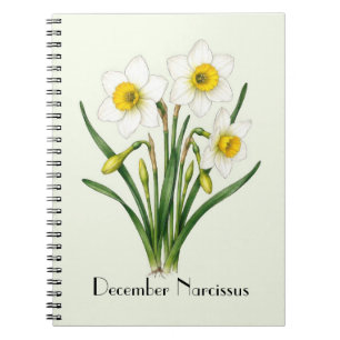 Carnet Fleurs de Narcisse de Décembre