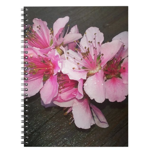 Carnet Fleurs de pêche (Devant)